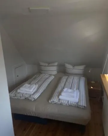 Moewennest *